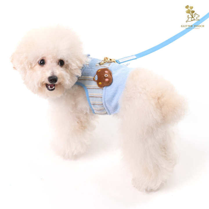 glitter-pooch-harness-ชุดรัดอก-สายจูง-เสื้อผ้า-สุนัข-หมา-แมว-สัตว์เลี้ยง-พร้อม-สายจูง-รุ่น-bluetiful-teddy-boy