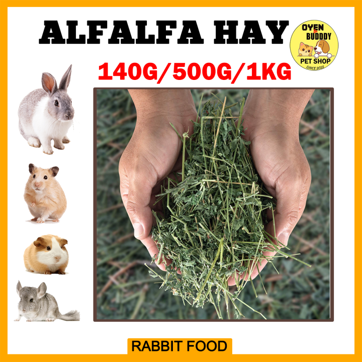 Alfalfa Hay for Rabbit Guinea Pig Chinchilla Makanan Arnab 1kg 500G