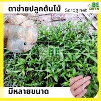 ตาข่ายกันล้ม Scrog net ตาข่าย ตาข่ายปลูกพืช  ปลูกต้นไม้  ตาข่ายพืชสมุนไพร กันล้ม ค้างผัก ค้างแตง ตาข่ายกัญ