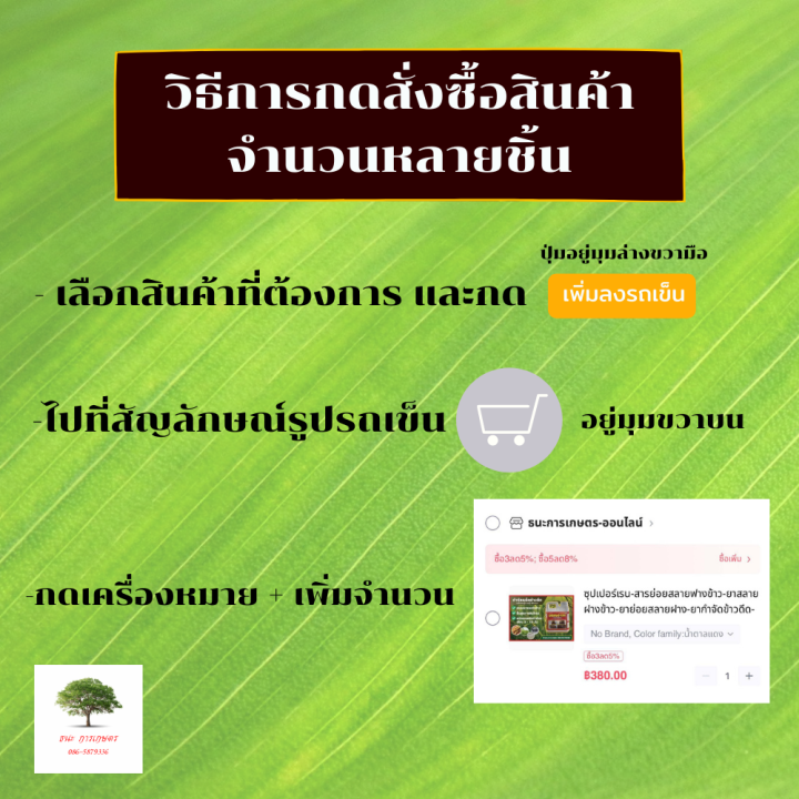 ยากำจัดข้าวดีด-สารย่อยสลายฟางข้าว-ยาสลายฝางข้าว-ยาย่อยสลายฝาง-ย่อยสลายตอซังยากำจัดหญ้า-ซุปเปอร์เรน