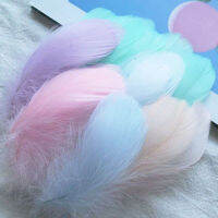 100 pcs Goose Feathers สำหรับงานฝีมือ 4-8 ซม. 8-12 ซม. Swan Plumes งานแต่งงานหัตถกรรมอุปกรณ์ตกแต่ง Dream Catcher Feathers-final1