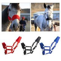 Horse Halter Horse Muzzle Soft Padded  Horse Halter Training Outdoor Bridle Headstall Head Collar Horse Riding Stable Items