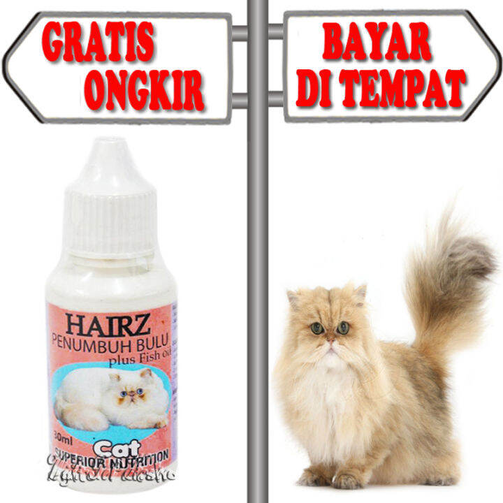 Obat Penumbuh Bulu Kucing Vitamin Bulu Rontok Pitak Botak Hairz