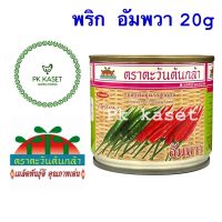 เมล็ดพริกขี้หนู อัมพวา AMPHAWA 20g ตราตะวันต้นกล้า กระป๋อง พริกขี้หนูลูกผสม HYBRID HOT PEPPER