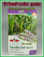 เมล็ดพันธุ์ ข้าวโพดข้าวเหนียว ลูกผสม ไวโอเล็ท ไวท์ 926 F1 ฝักไหญ่ เมล็ดเรียงเต็มฝัก ต้นแข็งแรง ปลูกง่าย น้ำหนักดี ผลผลิตสูง เหนียวนุ่ม