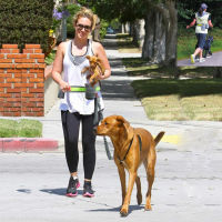 Hands Free With Bag Training Elastic Walking Running Outdoor Supplies Reflective Strip Adjustable Waist Belt Dog Leash Set Pet