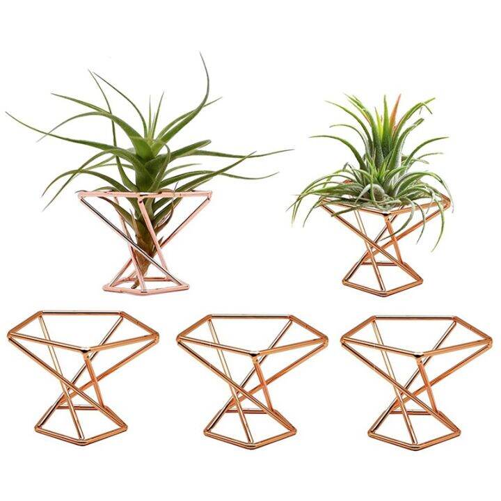 Pack 5 Air Plant Holder Air Plants Holders Tillandsias Display Air Purifying Plant Container Air