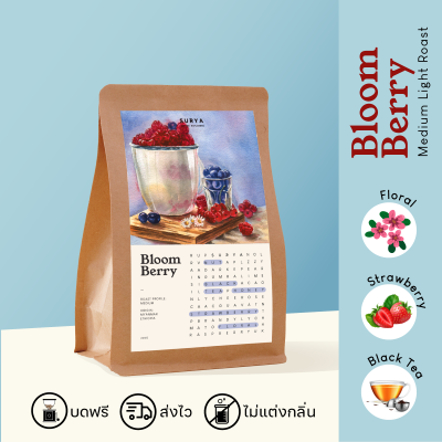 SURYA Coffee Explorers เมล็ดกาแฟกลิ่นเบอร์รี่คั่วกลาง BLOOMBERRY