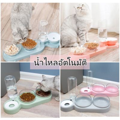 🥰ส่งฟรี ️ชามแมว ชามหมา ชามอาหาร ชามสัตว์เลี้ยง ที่ให้อาหาร 3หลุม️