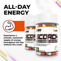 MAN Sports : Scorch 168 Capsules : แฟตเบิร์นตัวดัง Clinically dosed fat loss solution : Calorie-Free, Boost Energy, and Improve Mood - Made with Organic Caffeine