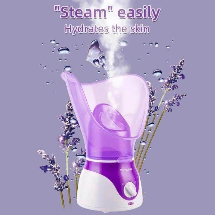 ∏ Nasal and Face Steam Inhaler Steamer for Inhalation Hot Mist Facial