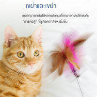 SCUC จัดให้เล่นเต็มสนุกกับเส้นใยขนนกและซิลิโคนที่ใช้สำหรับการฝึกสอนสัตว์เลี้ยง