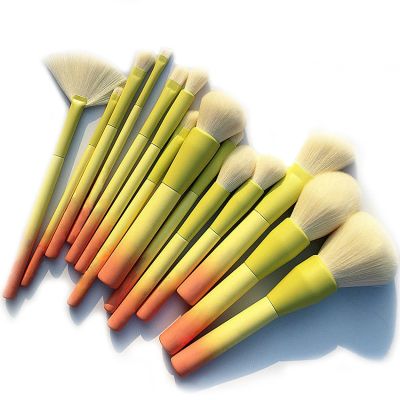 Pro Gradient Color 14pcs Makeup Brushes Set Soft Cosmetic Powder Blending Foundation Eyeshadow Blush Brush Kit Make Up Tools Makeup Brushes Sets