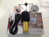 ไมค์ ไมโครโฟนสำหรับร้องเพลง บันทึกเสียง มีที่ครอบกันน้ำลาย Live Broadcast Equipment Recording Condenser Microphone