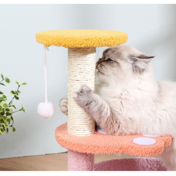 sph-คอนโดแมวราคาถูก-คอนโดแมวพร้อมส่ง-คอนโดแมว3ชั้น-คอนโดแมวเล็ก-เตียงแมว-cat-tree-บ้านแมว-สินค้าอยู่ในไทย-ส่งจริง