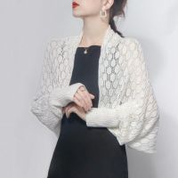 Hot sell Summer air conditioning room monochromatic knitting hollow out ice silk shawl pure color big sleeve honeycomb plus can keep warm shawl