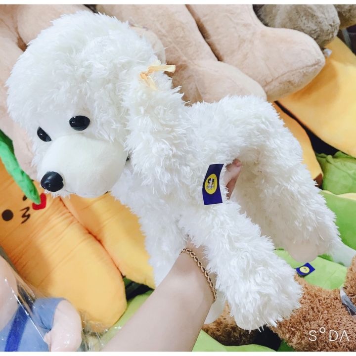 Gấu bông chó Poodle: Gấu bông chó Poodle là một món quà tuyệt vời dành cho bạn bè và người thân để truyền tải tình cảm yêu thương. Hãy xem những hình ảnh của những gấu bông chó Poodle đáng yêu để tìm kiếm sự cảm hứng cho món quà của bạn.
