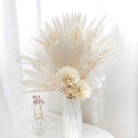 Pampas Grass Palm Leaves Natural Dried Flower Magnolia Ball Bouquet For Mother 39;s Day Wedding Party Christmas Decoration For Hom