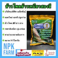 ข้าวโพดข้าวเหนียว สองสี 1 กิโลกรัม หมดอายุ01-02-2567  ข้าวโพดสองสี ขาว และม่วง แปซิฟิค ข้าวโพดหวาน ข้าวโพด ลูกผสม ฝักใหญ่ แข็งแรง ปลูกง่าย