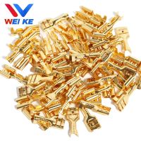 100Pcs/lot 2.8/4.8/6.3mm Male and Female Spade Crimp Terminals Gold Brass/Silver Car Speaker Electrical Wire Connectors Termin