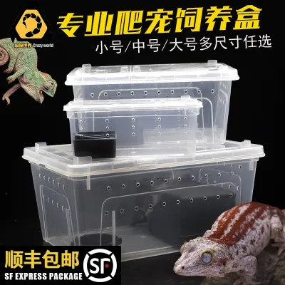 [COD] crawling pet spider gecko lizard scorpion centipede horned frog turtle snail feeding box snake free shipping