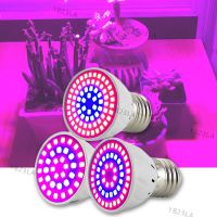 220V Plant Grow Light Lamps Indoor Greenhouse Cultivo Flower Red Blue Hydro Growbox Fitolampy 36/54/72 LED YB23TH