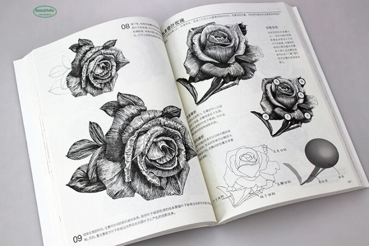 an-introduction-to-pen-drawing-techniques-book-flowers-landscapes-architecture-painting-techniques-and-principles