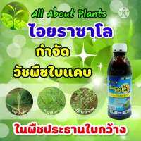 ( PRO+++ ) โปรแน่น.. ไอยราซาโล 1L. ควินซาโลฟอบ-พี-เอทิล กำจัดหญ้าใบแคบ ในพืชประธานใบกว้าง หญ้าตีนติด ตีนกา หญ้านกสีชมพู หญ้า ราคาสุดคุ้ม พรรณ ไม้ น้ำ พรรณ ไม้ ทุก ชนิด พรรณ ไม้ น้ำ สวยงาม พรรณ ไม้ มงคล