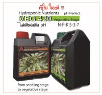 VEG 420 ปุ๋ย A B ไฮโดรโปนิกส์ พืชสมุนไพร สูตร ***ทำใบ*** แพ็คคู่ 1 ลิตร