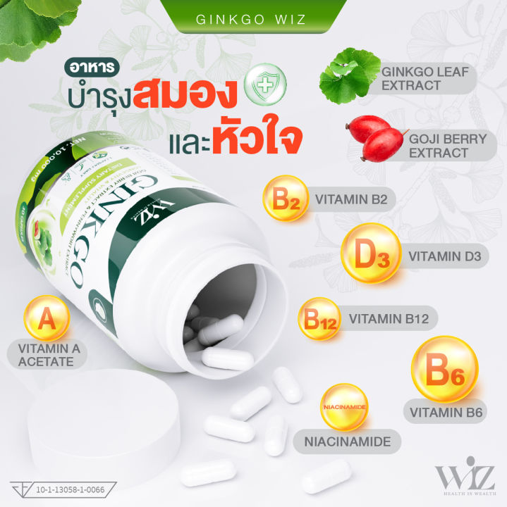 กิงโกะวิชต์-ginkgo-goji-berry-ผลิตภัณฑ์เสริมอาหารจากใบแปะก๊วยโกจิเบอร์รี่