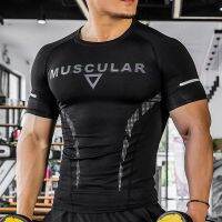 Sport Shirts Breathable Top Elastic tight Fitness Summer Quick Dry Short Sleeves MUSCULAR fitness Gym Training Running Tees