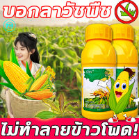 ไม่ทำลายต้นกล้า ยาชุดข้าวโพด 100g ฆ่าหญ้าข้าวโพด สารกำจัดวัชพืชใบแคบและใบกว้าง กำจัดวัชพืชเท่านั้น กำจัดหญ้าในไร่ข้าวโพด​​ ยาฉีดหญ้าข้าวโพด หญ้าตีนกา