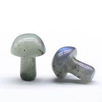 【cw】 4PC Labradorite 20MM for Decoration Balancing Healing Chakra Mushrooms Sculpture Stone 【hot】