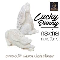 "กระต่ายหมายจันทร์ LUCKY BUNNY" (คู่) จัดสวน ประดับสวน แต่งสวน ใส่ต้นไม้  Bunny Brown