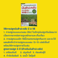 หนังสือเกษตร แนวทางการเพิ่มผลผลิตมันสำปะหลังแบบยั่งยืน : ความรู้เบื้องต้นเกี่ยวกับมันสำปะหลัง, เทคนิคการเร่งรากด้วยน้ำหมักชีวภาพ