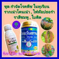 ชุด กำจัดโรคทุเรียน โรครากเน่าโคนเน่า ไฟท๊อปธอร่า ไธอะโนซาน (ไทแรม) 500g + ลากูเร่ 500 cc ยาทุเรียน ใบติด ใบจุด โรคกิ่งแห้งทุเรียน ทาแผล