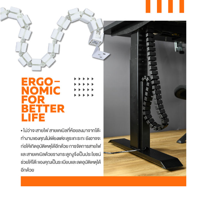 ergotrend-รางกระดูก-cable-snake-sit2stand