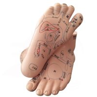 13cm Foot Reflex Zone Massage Model Not Acupuncture Model Foot Massage Model Chinese Language Feet Reflexology1 Pair Medical