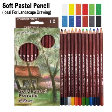 Soft Pastel Pencils 12 Colors Skin Tints Portrait/Landscape Colored Powder  Pencil Portrayal Still Life/Character/Figure Details