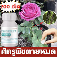 ฆ่าแมลงเท่านั้น ไม่ทำร้ายพืช ยาฆ่าแมลงกินใบ ยาเพลี้ย 40g 200เม็ด 1เม็ดใช้ได้120วัน ยากำจัดแมลงพืช ป้องกันรากเน่า ปรับปรุงดิน ยาฆ่าแมลง กำจัดแมลงได้กว้างขวาง เพลี้ยไฟ แมลงหวี่ขาว ยาฆ่าเพลี้ย สารกำจัดแมลง ยาฆ่าเพลี้ยแป้ง ยากำจัดเพลี้ย ยาเชื้อราในพืช