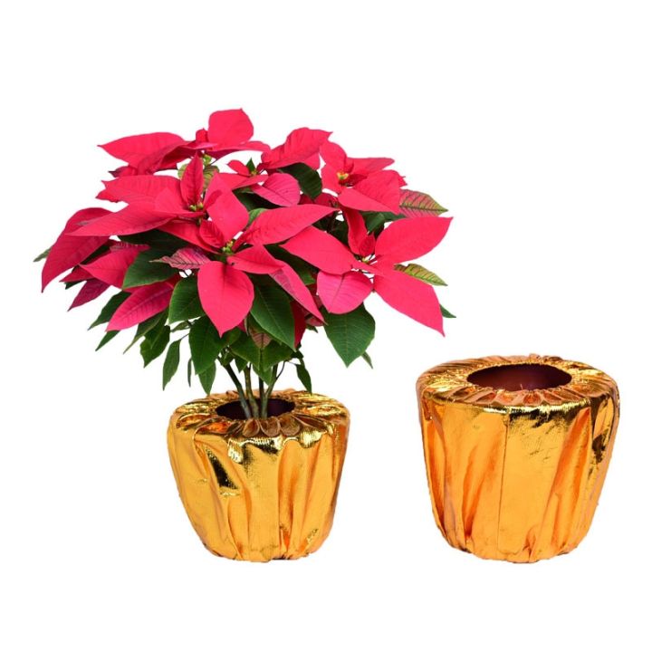 cod-flower-bag-new-years-orange-gold-cloth-set-green-plant-opening-holiday-arrangement