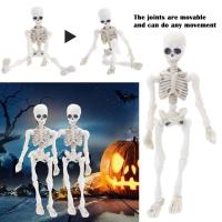 Skull Ornaments Skeleton Man Skeleton Model Movable Doll E6M6