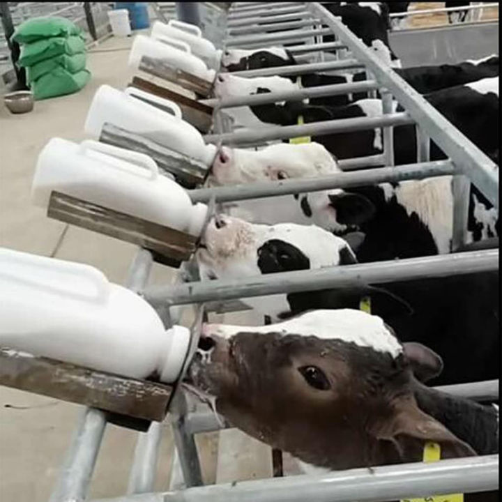 พร้อมส่ง-1l-ขวดนมวัว-พร้อมจุกนม-ลูกวัว-วัว-เครื่องป้อนนม-ถ้วยพยาบาล-ขวดนมป้อนสัตว์เลี้ยงพร้อมที่จับ-ขวดนมใหญ่