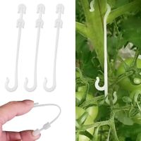 50pcs J รูปผลไม้มะเขือเทศเชอร์รี่หู Hook สวนพืชผักองุ่นสนับสนุน Vines Fastener คลิป Trellis หัวเข็มขัดคงที่ hook-WIOJ SHOP