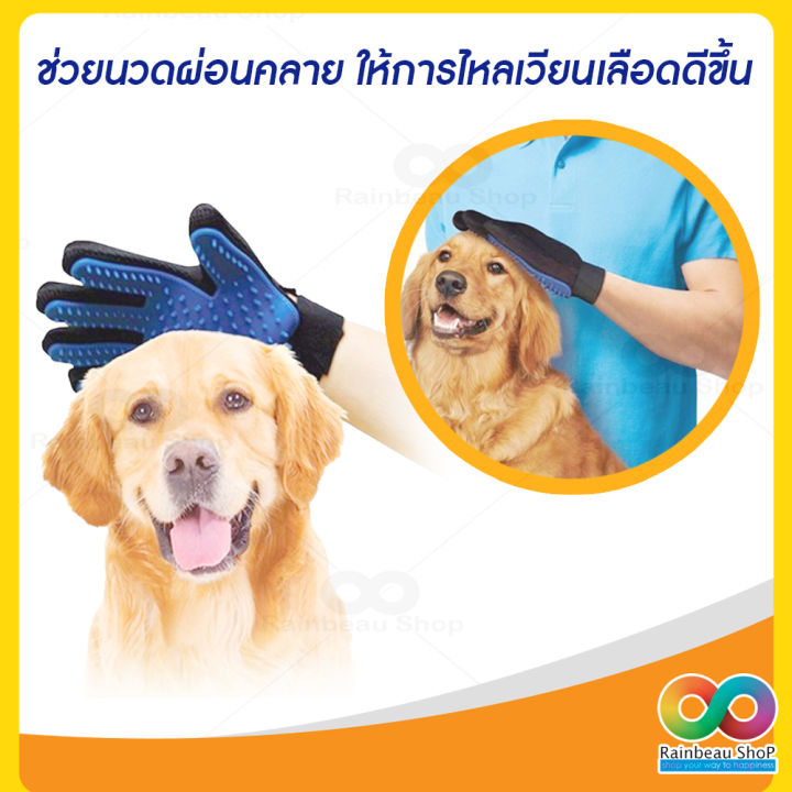 rainbeau-แปรงขนหมา-แปรงขนแมว-ถุงมือกำจัดขนแมว-ถุงมือแปรงขนแมว-ถุงมือกำจัดขนสัตว์-ถุงมืออาบน้ำสุนัข-หวีขนหมา-หวีขนแมว-ถุงมือหวีขน-อุปกรณ์แปรงขนสัตว์เลี้ยง-pet-grooming-gloves-หวีและที่แปรง-สำหรับน้องหม