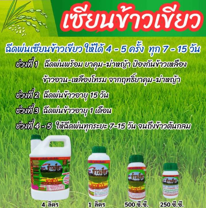 พร้อมส่ง-เซียนข้าวรวง-และเซียนข้าวเขียว-ขนาด250ซีซี-อย่างละ1ขวด-แถมเซียนดิน1ขวด-ฮอร์โมนข้าว-ปุ๋ยฉีดข้าว-เร่งต้น-เร่งใบ-ปุ๋ยฉีดทางใบ