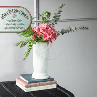 Adilet Vase | กระถาง เซรามิก สำหรับจัดต้นไม้ อิงลิชการ์เด้น แจกัน