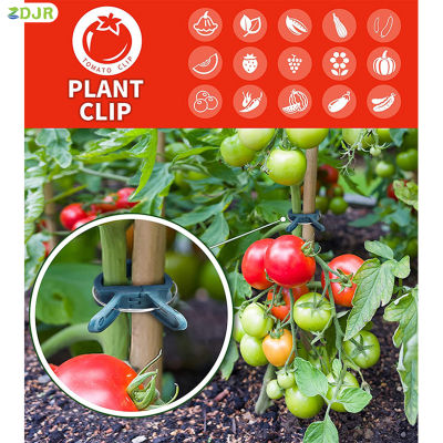 ZDJR คลิปหนีบพืชสวน40ชิ้นช่วยให้พืชสามารถรองรับได้อย่างรวดเร็วและง่ายดายสำหรับการยืดกรงมะเขือเทศ