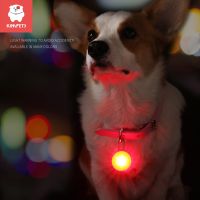 ◘ Kimpets Dog Collar Night Safety Glowing Pendant Cat LED Flash Lights Pet Leads Accessories Glow Dark Bright Necklace Dog Collar