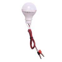 E27 12W LED Emergency Light Bulb Camping Hunting Outdoor Light DC 12V